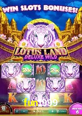 Programa VIP fun1999